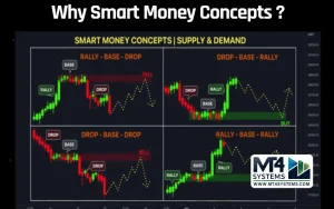 Alpha Striker Result 4