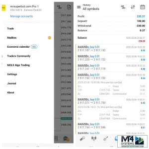 Mrsuperbot Final Edition MT4 Result 5