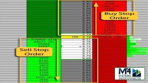 LENA Scalp Result 10