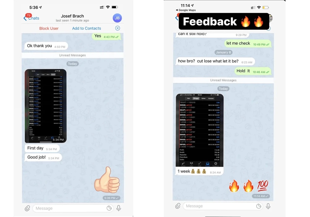 Monarchal Algo EA MT4 - User Reviews